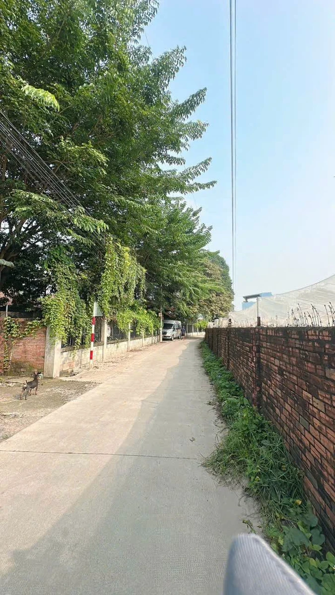 Bán đất 90m2 mặt tiền Nguyễn Văn Tỏ 1,8 tỷ - Ảnh thu nhỏ 2