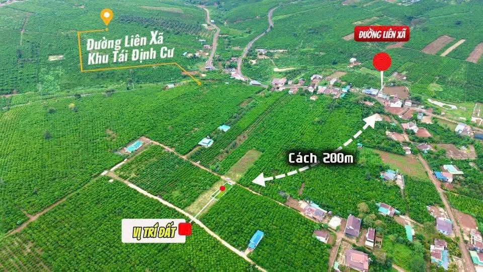 Bán đất nền 91m2 Lâm Đồng, giá 727 triệu, sổ hồng riêng - Ảnh thu nhỏ 5
