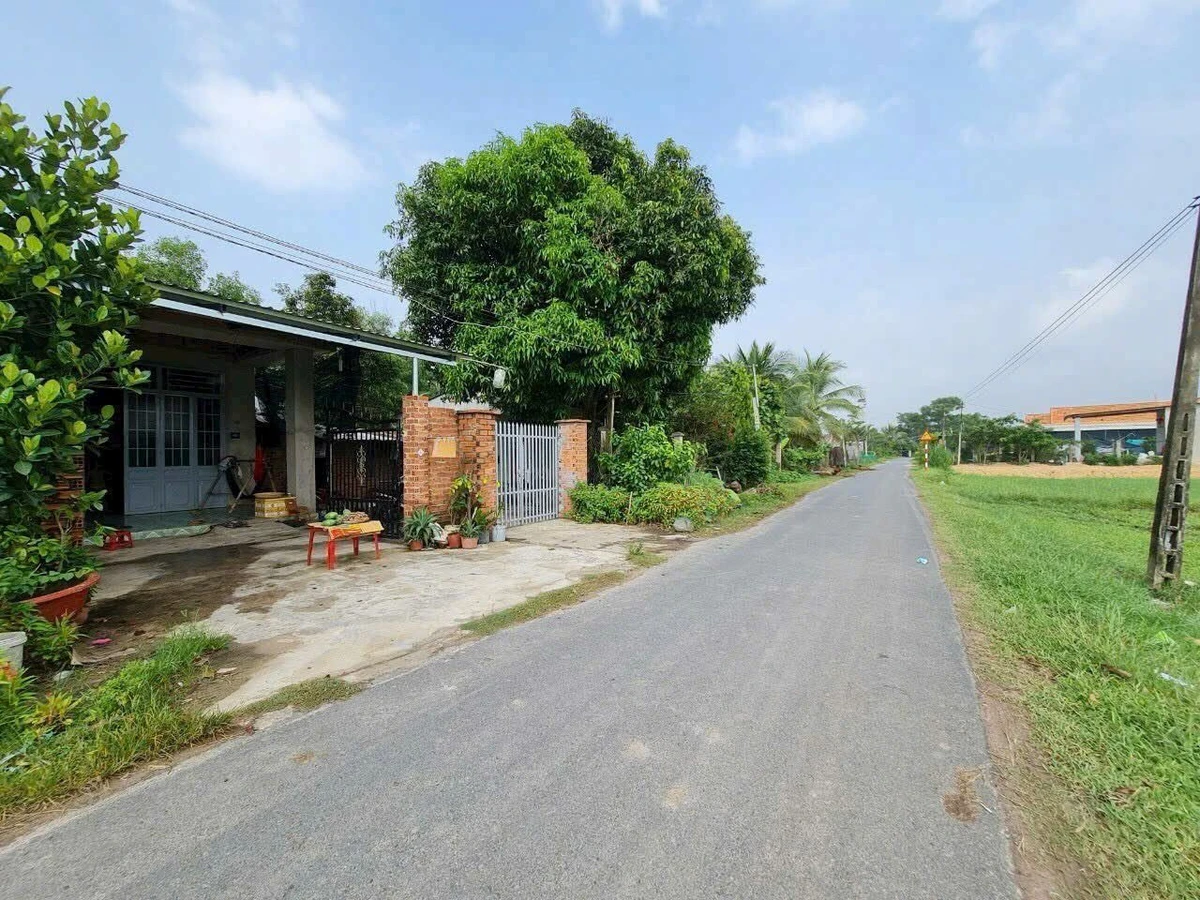Bán đất 13x25m (325m²) Thạnh Phước Gò Dầu 1 tỷ 450 - Ảnh thu nhỏ 5