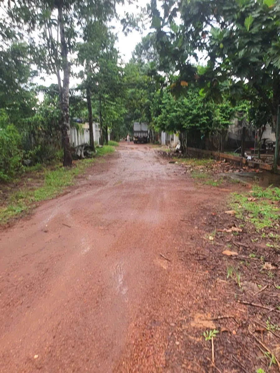 Bán đất 2 sào Củ Chi, mặt tiền, view suối, có cây ăn trái - Ảnh thu nhỏ 4