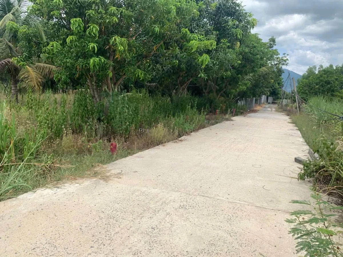 Bán lô đất Cam Lâm, Khánh Hòa 176m² giá 1.3 tỷ - Ảnh thu nhỏ 2