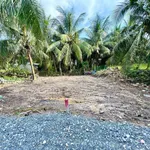 Bán 2 nền thổ cư 75m2 Phú Thịnh, Bình Dương 220 triệu - Ảnh thu nhỏ 2