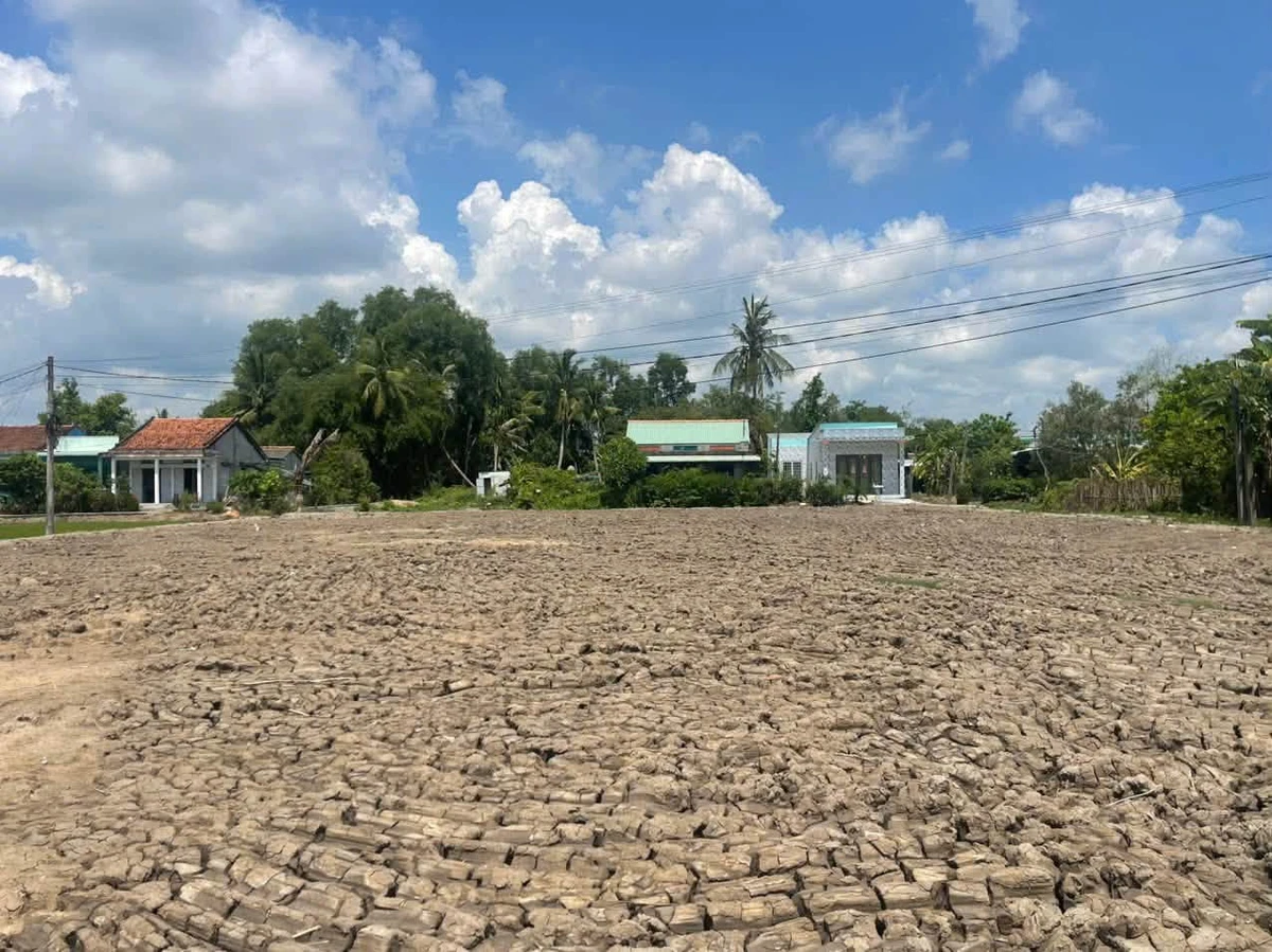 Bán đất thổ cư 5.500m2 tại Long An, 5.2tr/m2 - Ảnh thu nhỏ 2