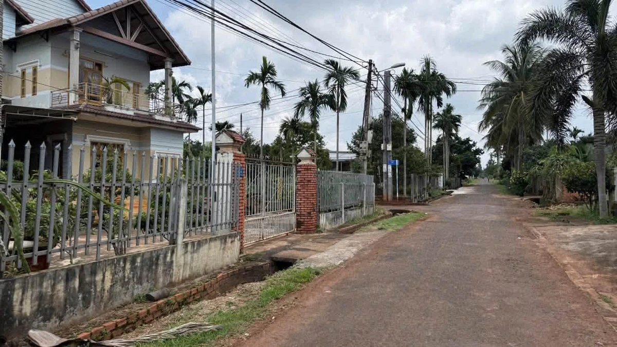 Bán vườn 1,7 sào Phù Hợp Làm Nhà Vườn ở Tân An, Cần Giờ - Ảnh thu nhỏ 3