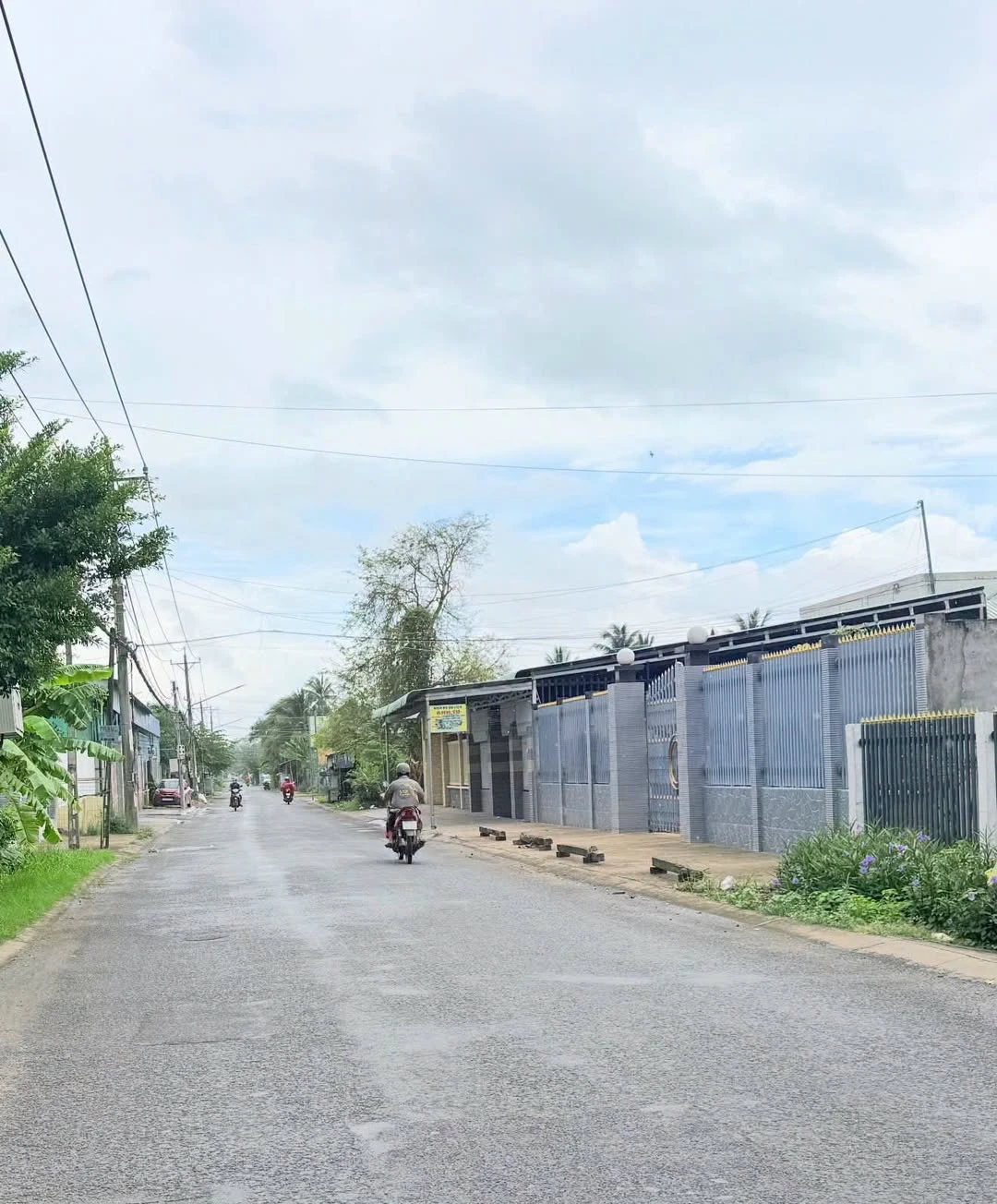 Bán đất 1.800m² mặt tiền Lộ Thầy Cai, Bến Tre - Ảnh 1