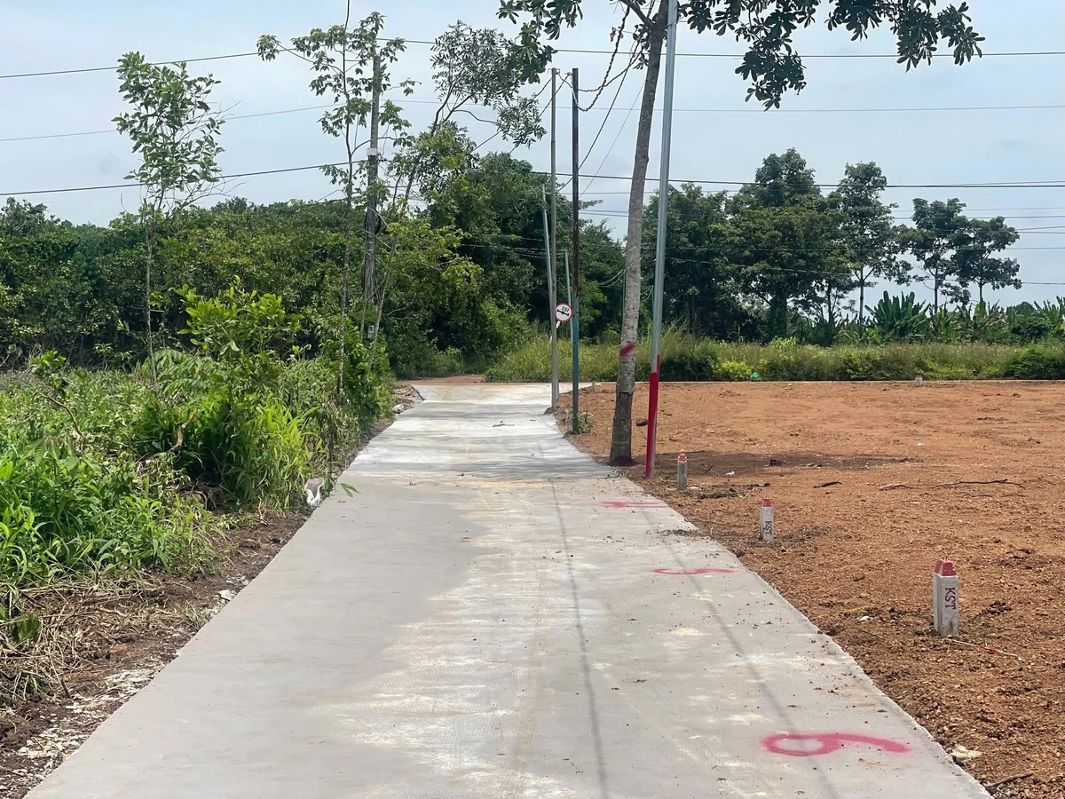 Bán lô đất 99,8m² Xuân Đông, Đồng Nai - 300 triệu - Ảnh thu nhỏ 2