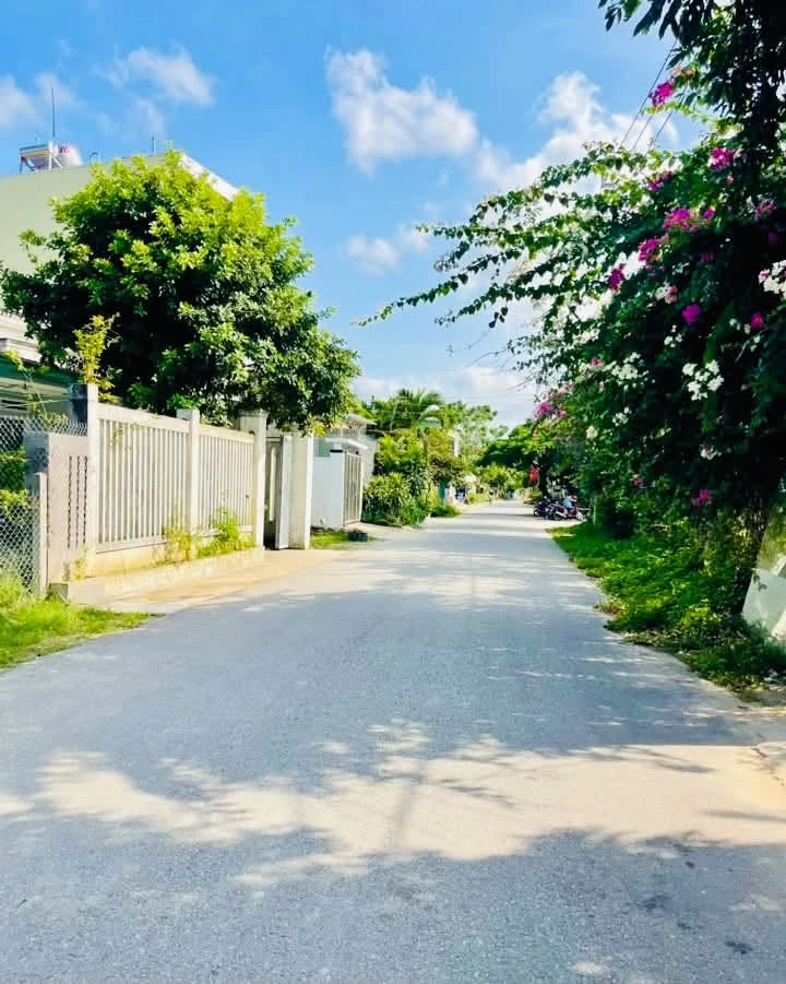 Bán lô đất mặt tiền 146m2 đường Hoàng Hoa Thám - Ảnh thu nhỏ 3