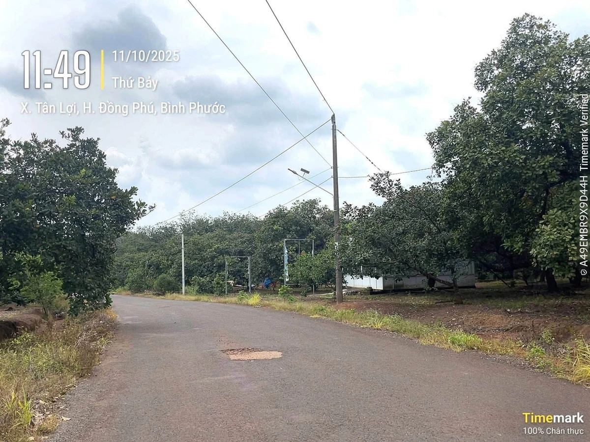 Bán đất nền Đồng Phú Bình Dương 155m² - Ảnh thu nhỏ 3