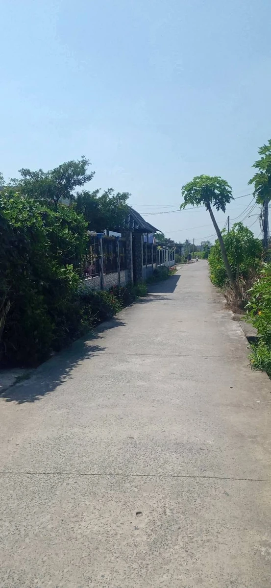 Bán 4000m² đất vườn giá 2 tỷ Tây Ninh - Ảnh thu nhỏ 3