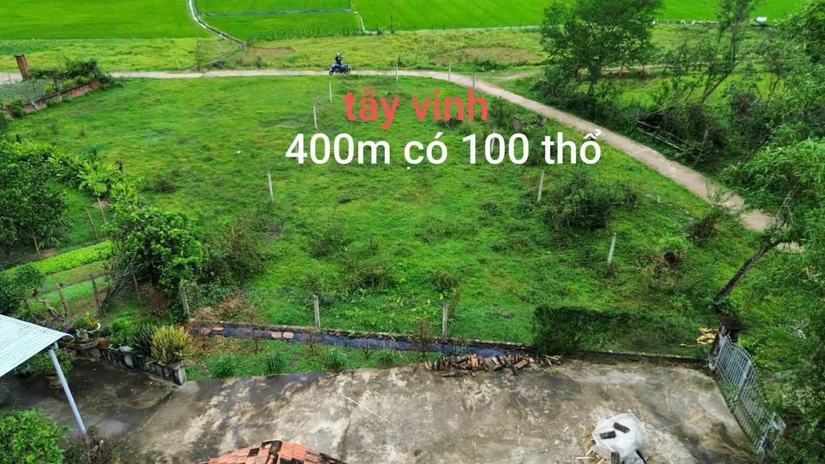 Xả lỗ lô đất 400m² tại Bình Dức Tây, giáp Nhơn Mỹ, 295 triệu - Ảnh 1