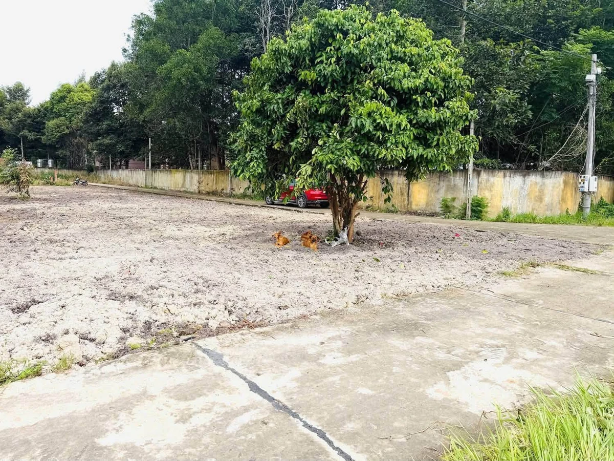 Bán đất 500m² sau chợ Minh Long, Đồng Nai 690 triệu - Ảnh thu nhỏ 2