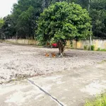 Bán đất 500m² sau chợ Minh Long, Đồng Nai 690 triệu - Ảnh thu nhỏ 2