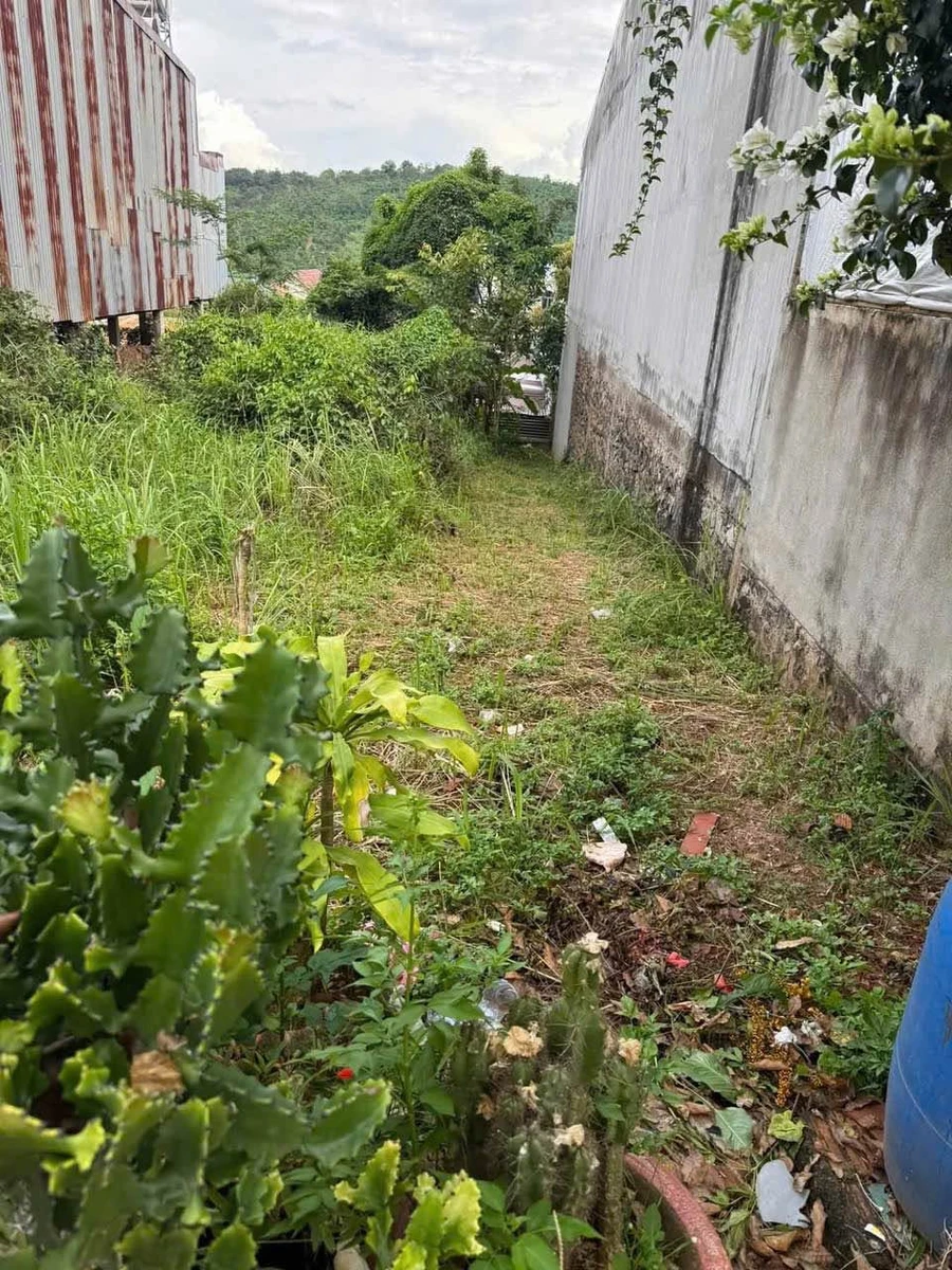Bán đất Gia Nghĩa 250m² giá 1,3 tỷ - Ảnh thu nhỏ 2