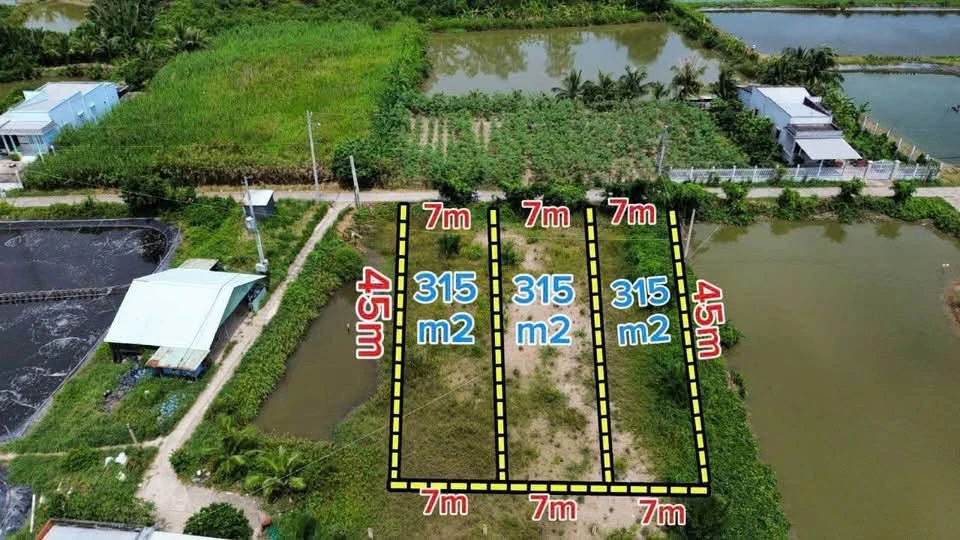 Bán đất thổ mặt tiền 315m² ấp 3 Phước Đông giá 1 tỷ 370 triệu - Ảnh thu nhỏ 5