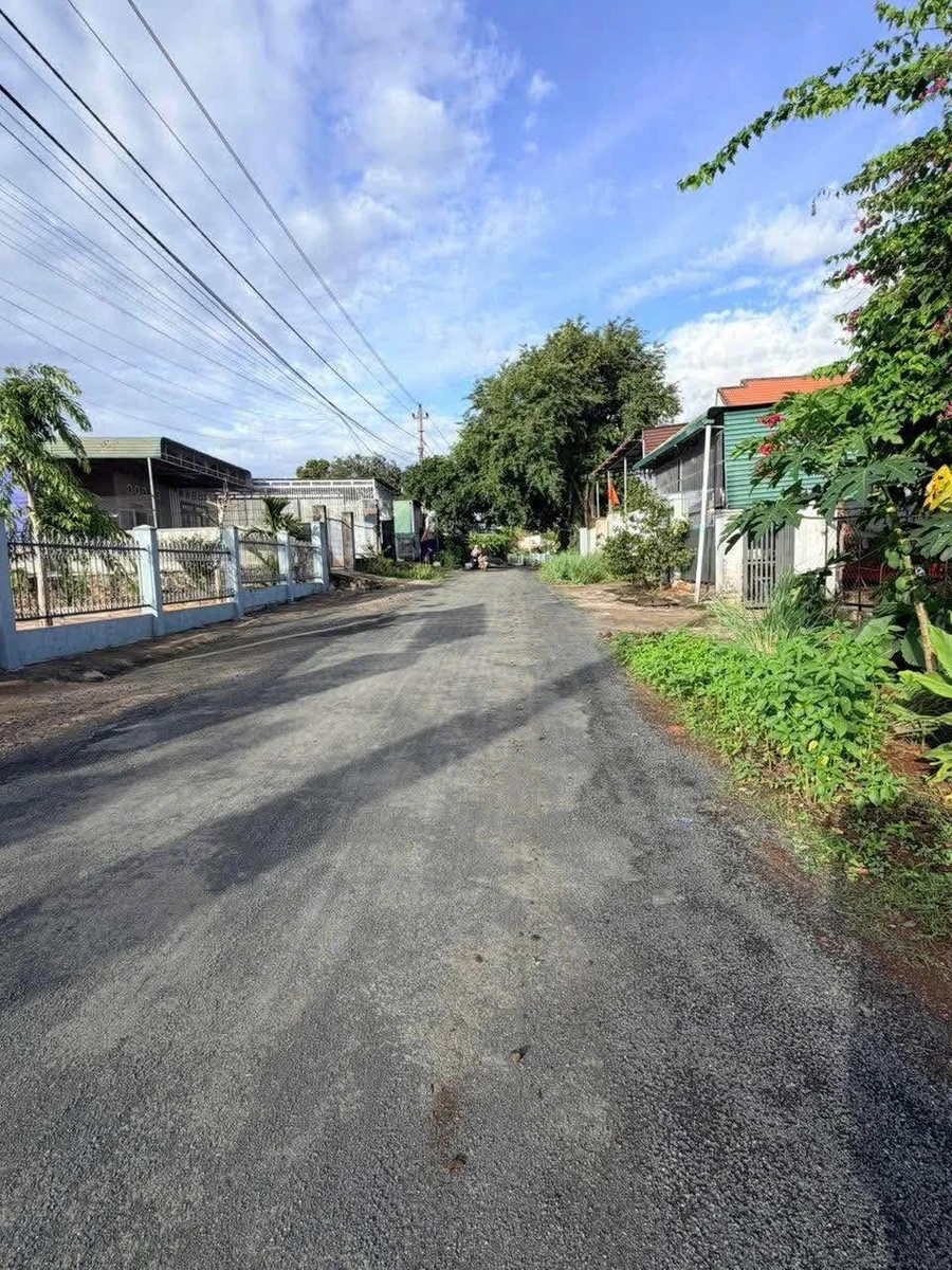 Bán đất 200m² gần chợ Phân Huy Chú, Nhà Bè 1 tỷ 350 - Ảnh thu nhỏ 4