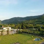 Chủ villa cực đẹp thực sự cần bán gấp 4300m2 Cư Yên Lương Sơn các bác đàm phán thoải mái - Ảnh thu nhỏ 19