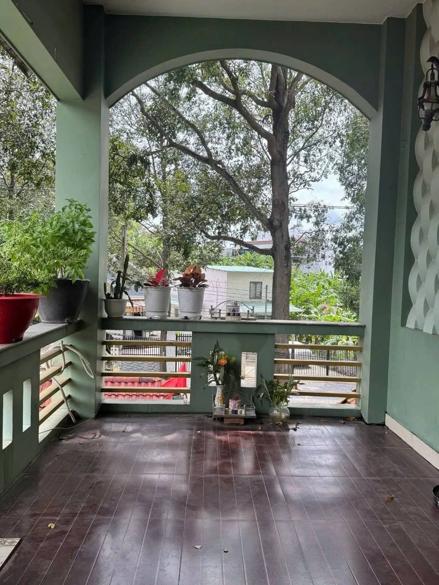 Bán đất góc 347.6m² mặt tiền Nguyễn Tri Phương Thủ Dầu Một - Ảnh thu nhỏ 2