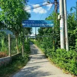 Đất nền Phú Hưng Bến Tre 160m2 giá 505 triệu - Ảnh thu nhỏ 1