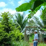Bán đất 1300m² Hưng Thịnh Đồng Nai giá 2,4 tỷ - Ảnh thu nhỏ 3
