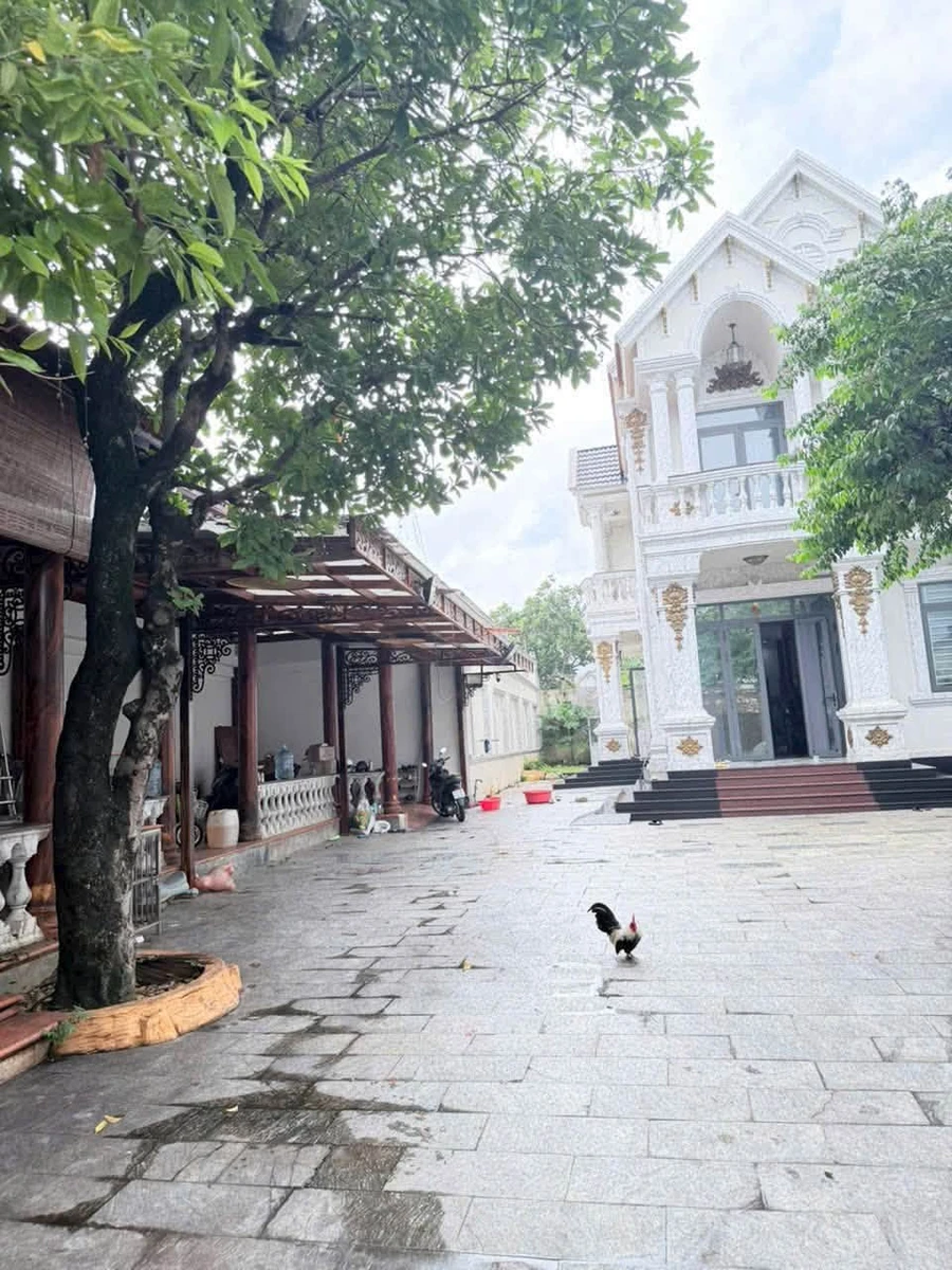 Bán biệt thự 5 PN, 400m², Dĩ An, 16 tỷ - Ảnh thu nhỏ 3