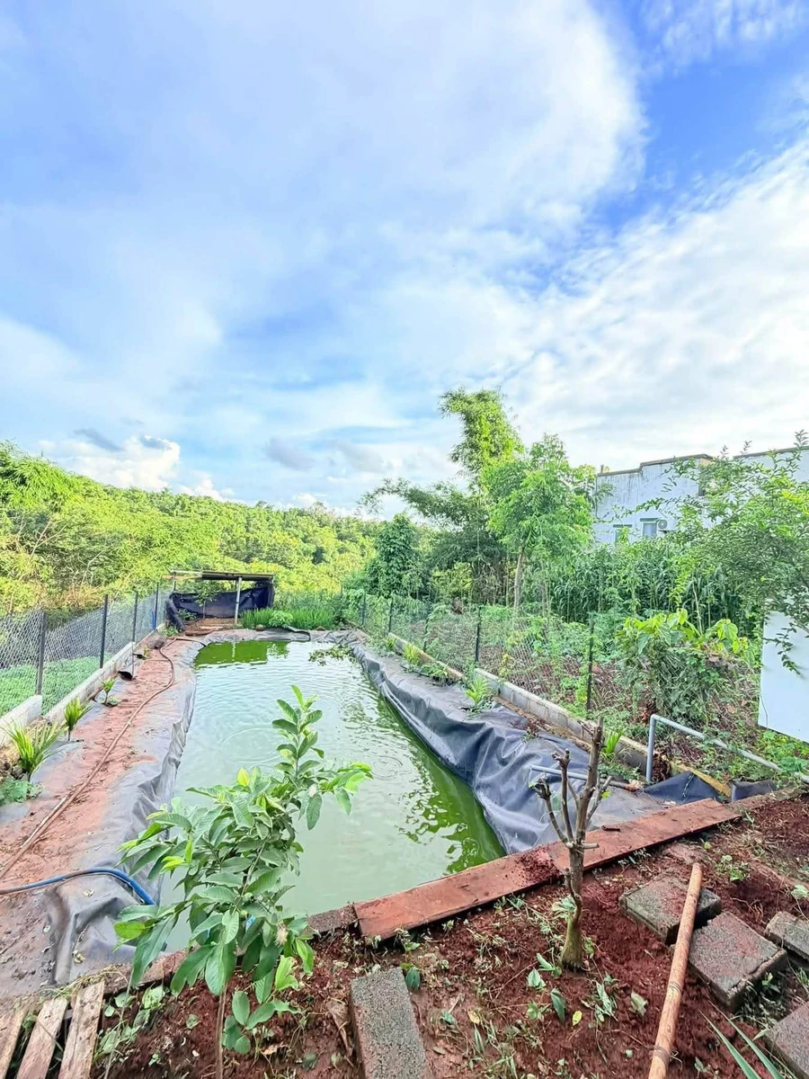 Bán nhà vườn 420m² hẻm 451 Ymoal Nhà Bè 2 tỷ 5 - Ảnh thu nhỏ 2