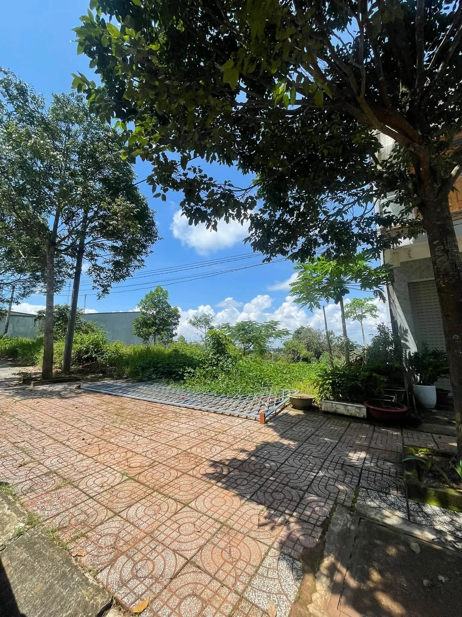 Bán đất mặt đường Tôn Đức Thắng, Lâm Đồng, 359m², 2,8 tỷ - Ảnh thu nhỏ 2