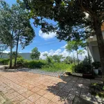 Bán đất mặt đường Tôn Đức Thắng, Lâm Đồng, 359m², 2,8 tỷ - Ảnh thu nhỏ 2
