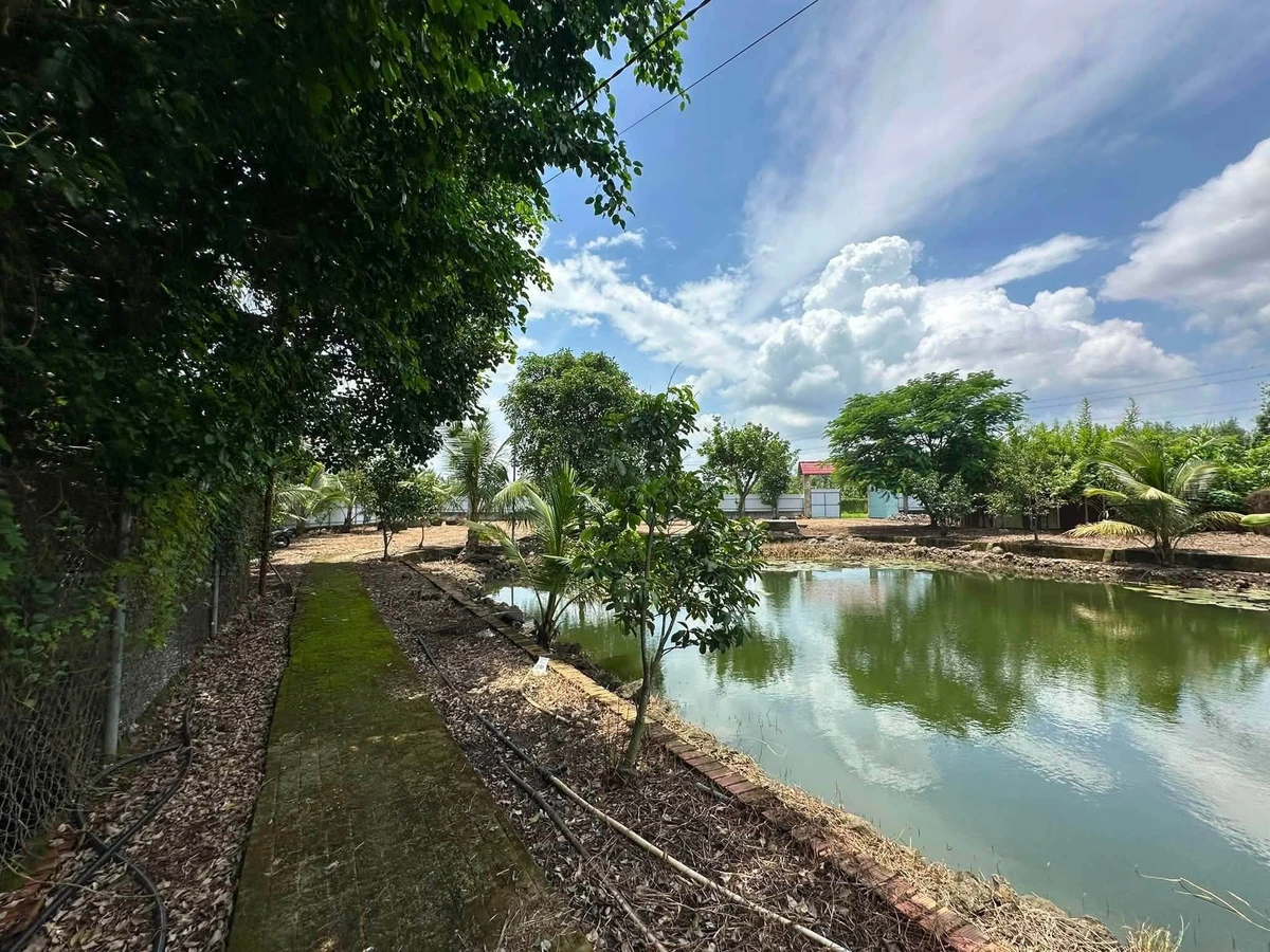 Bán đất nông nghiệp 3600m² tại Trảng Bom, Bình Dương - Ảnh thu nhỏ 3
