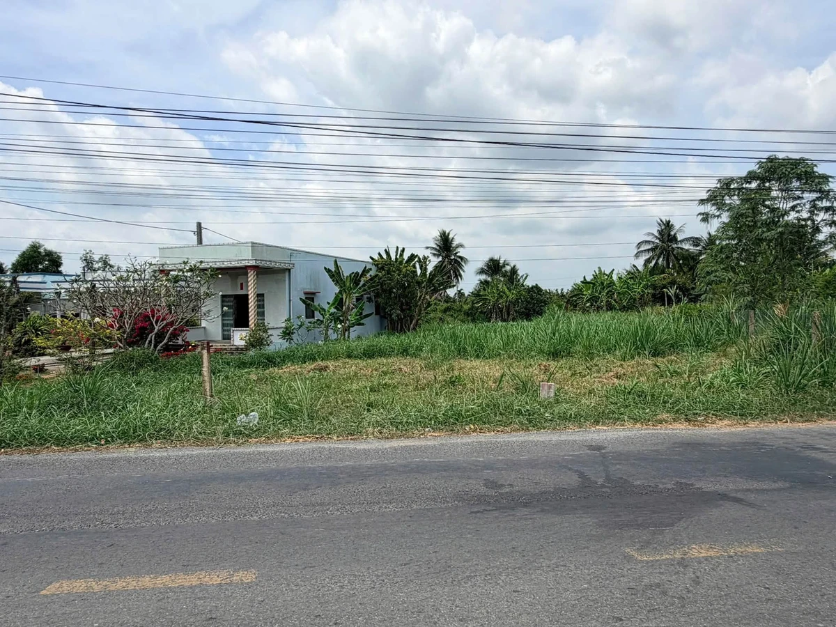 Bán đất thổ cư mặt tiền Cao Thị Mai 260m2, 1,4 tỷ/nền, Bình Trinh Đông, Tân Trụ, Long An - Ảnh thu nhỏ 3