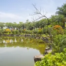 Chính chủ gửi bán đất tại Vườn Sen, giá cần ra nhanh 4,2 tỷ, sổ hồng cầm tay, LH 0326 569 *** - Ảnh thu nhỏ 18