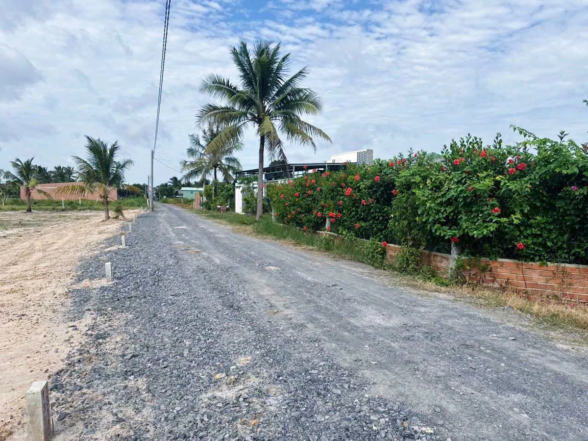 Bán đất Chòm Dừa 50m² tại Tây Ninh, 219 triệu - Ảnh thu nhỏ 2