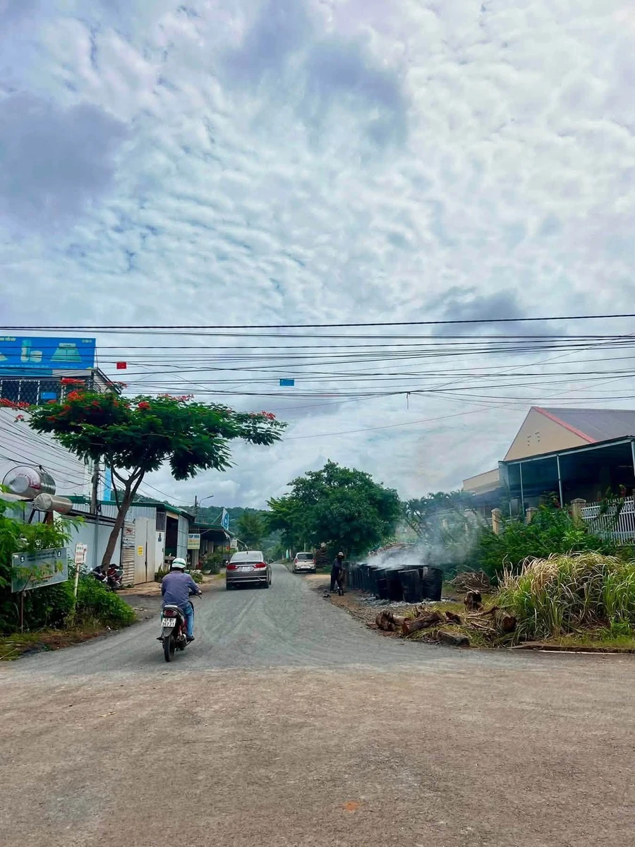Bán đất mặt đường Triệu Quang Phục 230m² Cần Giờ - Ảnh thu nhỏ 2