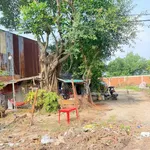 Bán đất mặt tiền QL 22B 235m² Tây Ninh - Ảnh thu nhỏ 2
