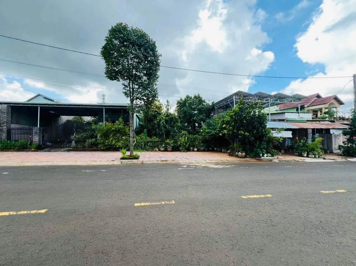 Bán đất 300m² Đường Hàm Nghi, Lâm Đồng 3,9 tỷ - Ảnh thu nhỏ 3
