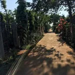 Đất 10x25m mặt tiền đường thông có thổ cư - Ảnh thu nhỏ 3