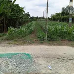 Bán nền 527m² Kênh 9, Kiên Giang, 630 triệu - Ảnh thu nhỏ 2