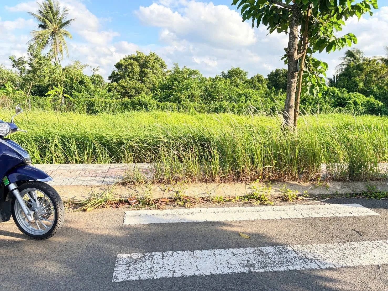 Bán đất nền KDC Thuận Đạo Tây Ninh 102,5m² 1 tỷ 280 - Ảnh 1