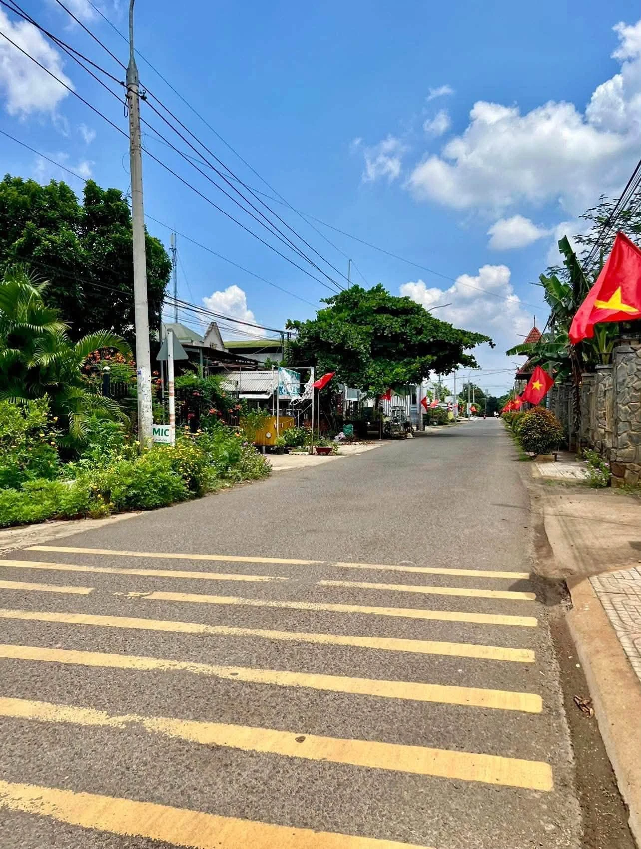 Bán 3 sào đất mặt tiền Chu Văn An, Đồng Nai - Ảnh 1