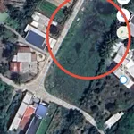 Bán đất Diên Điền Khánh Hòa 120m² giá 770 triệu - Ảnh thu nhỏ 4