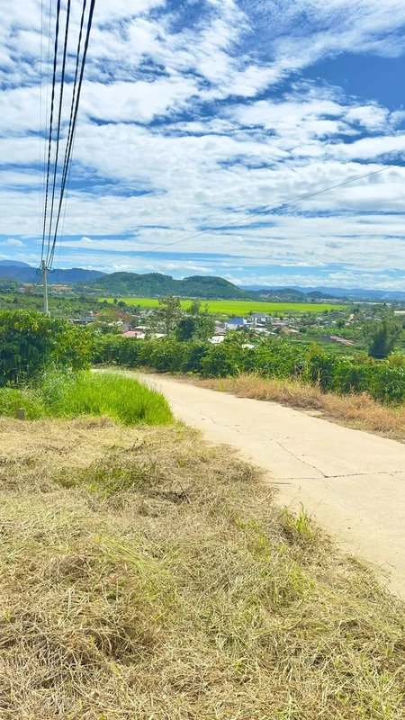 Bán đất Tân Đức, Đinh Văn Lâm, 225m² mặt tiền đường bê tông
