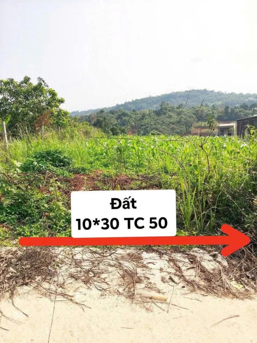 Bán đất 300m2 hẻm ô tô gần chợ, trung tâm Gia Nghĩa, Lâm Đồng, giá 880 triệu - Ảnh 1