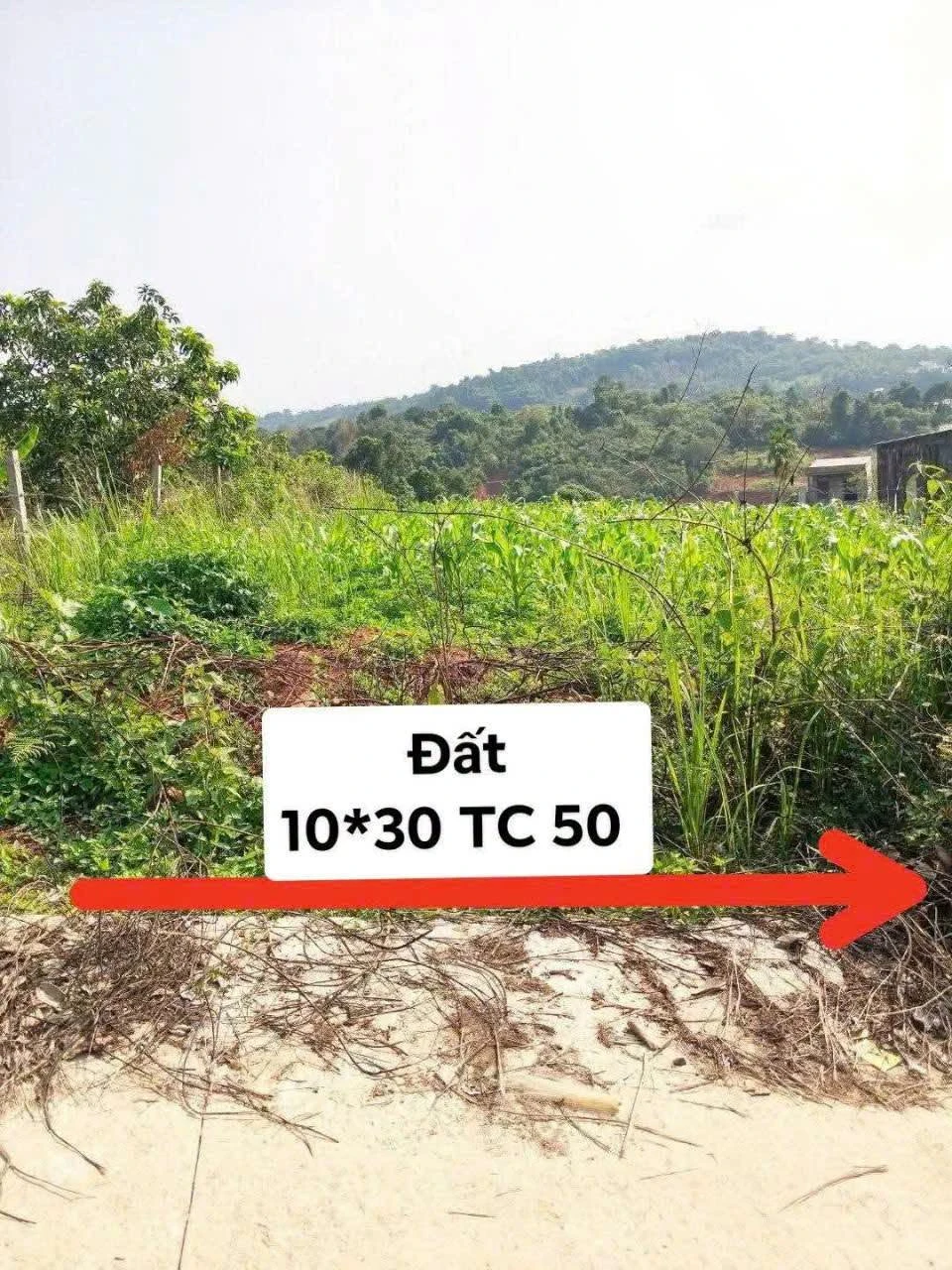 Bán đất 300m2 hẻm ô tô gần chợ, trung tâm Gia Nghĩa, Lâm Đồng, giá 880 triệu - Ảnh 1