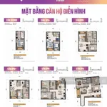 Căn hộ ở sở hữu lâu dài gần biển Vũng Tàu tiện ích đầy đủ - Ảnh thu nhỏ 2