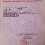 Bán đất mặt tiền Long Khê Tây Ninh 299m2 thổ cư 100% - Ảnh thu nhỏ 3