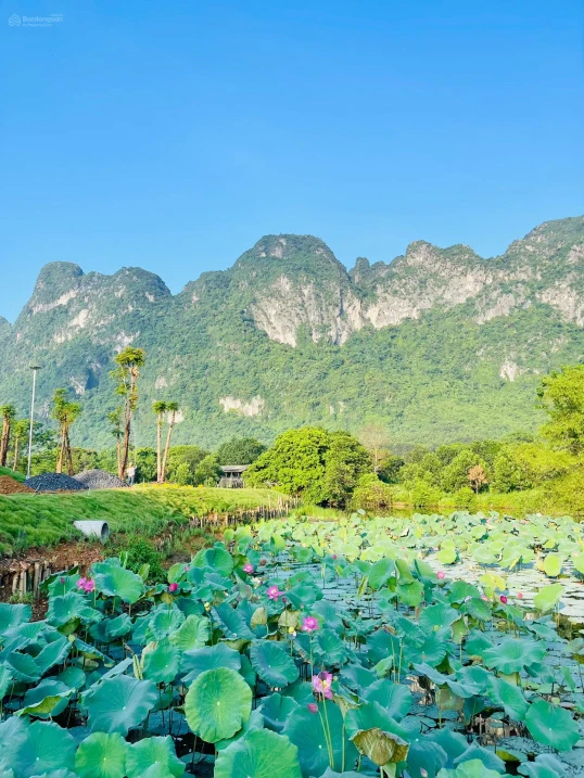 SIÊU PHẨM LẠC THỦY - GIÁP NINH BÌNH - CÁCH HÀ NỘI 65KM - Ảnh thu nhỏ 3