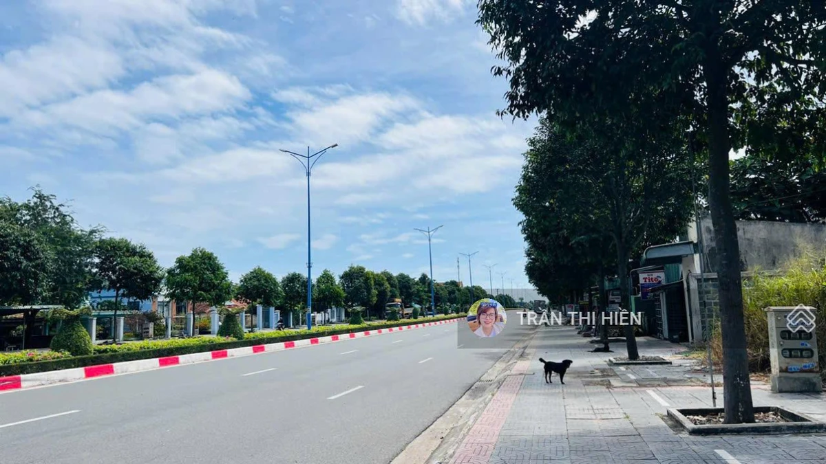 Mặt tiền trục chính Võ Thị Sáu về biển Phước Hải 1.5km - 637m2 - 15x40m siêu đẹp - Ảnh thu nhỏ 2
