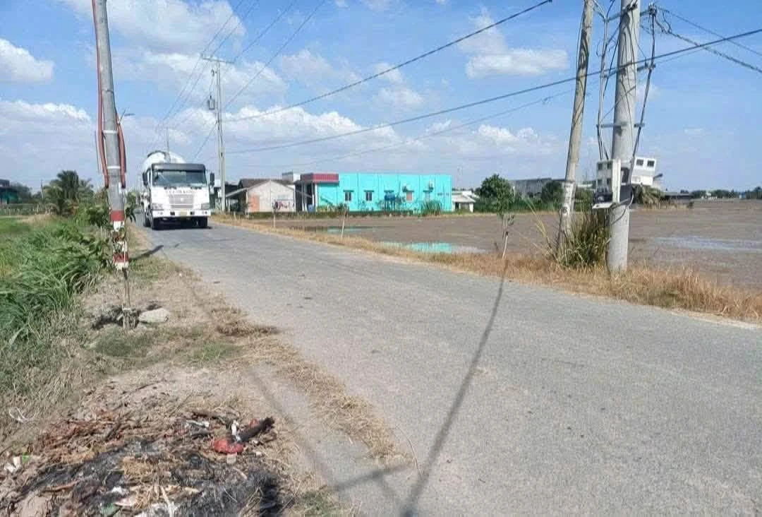 Bán đất Tân Trụ 250m² 1 tỷ 120 triệu, mặt tiền nhựa - Ảnh thu nhỏ 4