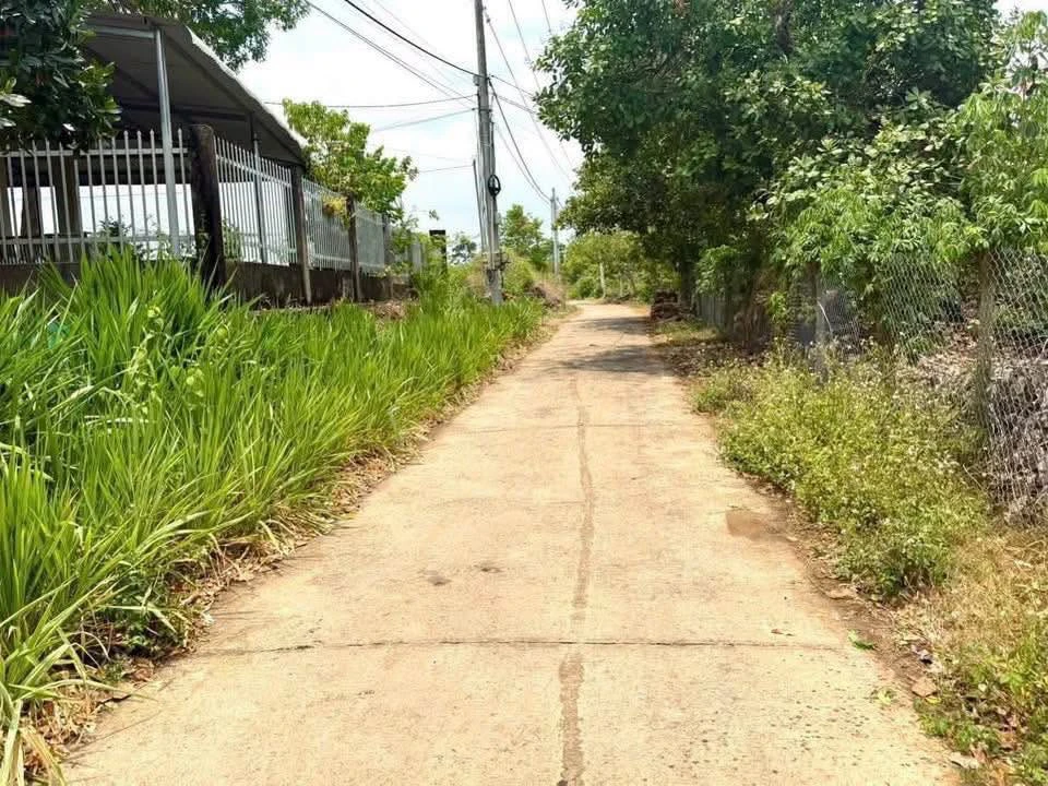 Bán đất Phú Lộc Tân Phú Đồng Nai 240m² 399 triệu - Ảnh thu nhỏ 2
