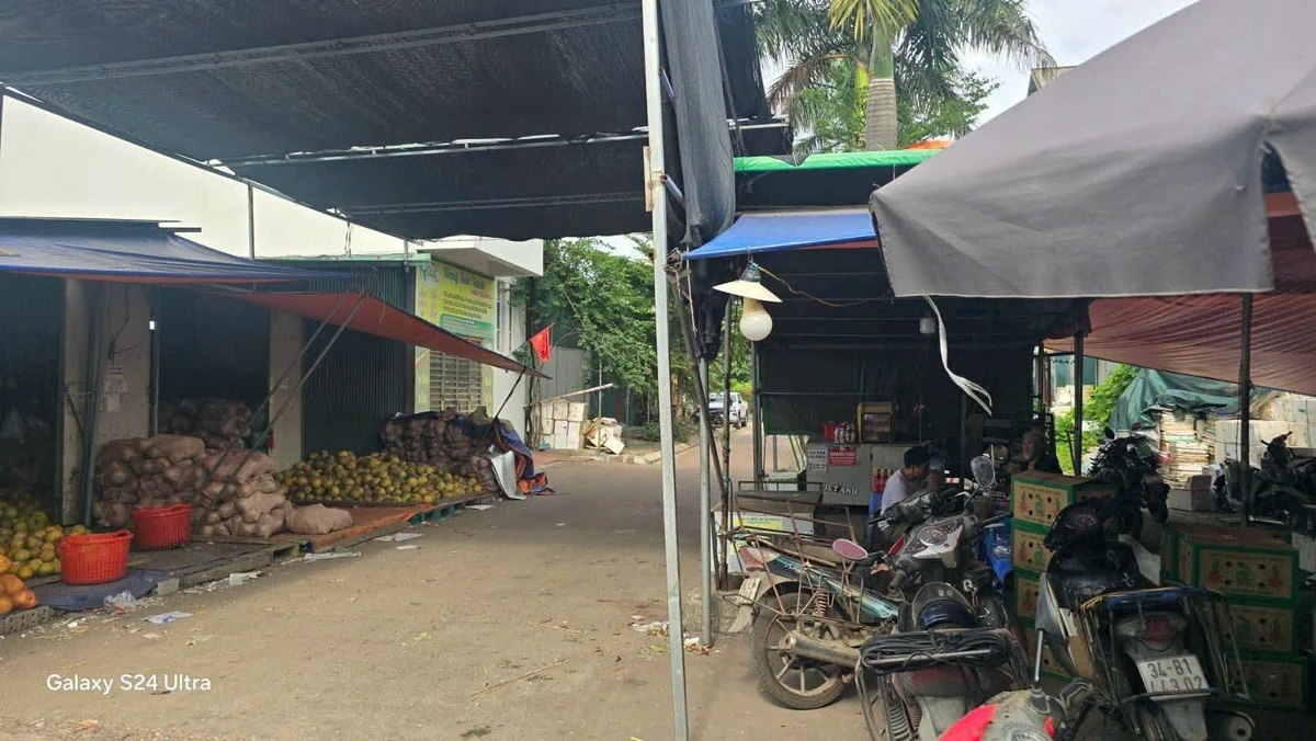 Bán lô đất 96m2 mặt tiền Chợ Hội Đô Hải Dương, giá hơn 3 tỷ - Ảnh thu nhỏ 4