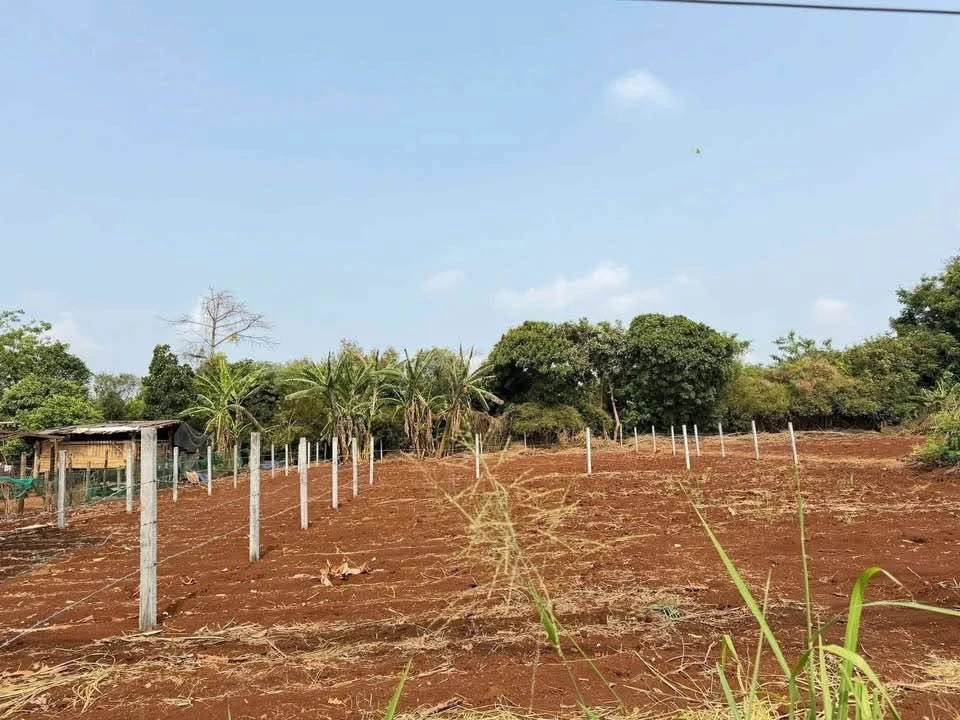 Bán đất hẻm cấp 1 Thủ Khoa Huân 120m² 2.65 tỷ - Ảnh thu nhỏ 2
